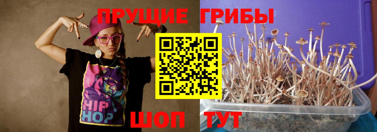 Псилоцибиновые грибы Magic Shrooms  Вход с VPN  Южноуральск 